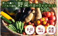 お野菜 8～10品 詰め合わせセット 富士山の湧水でつくる 四季の美味しい 旬 野菜