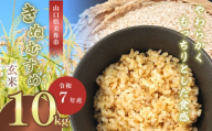 令和7年度産 新米きぬむすめ 玄米10kg 先行予約 ＜ 2025年9月中旬より順次発送予定 ＞ ｜ 米 精米 新米 玄米 米 雑穀 お米 コメ 単一米 きぬむすめ 絹娘  山口 美祢 秋吉台 10kg