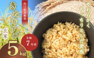 9月中旬～ 発送　令和7年度産 新米きぬむすめ 玄米5kg 先行予約 ＜ 2025年9月中旬より順次発送予定 ＞ ｜ 米 精米 新米 玄米 米 雑穀 お米 コメ 単一米 きぬむすめ 絹娘  山口 美祢 秋吉台 5kg