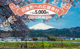 お礼の品なしのふるさと納税です。いただいたご寄附は、羽後町の発展のために活用させていただきます。◆緑と踊りと雪の町ー羽後町の目指すまちづくりー羽後町では、住み良いまちづくりや住民サービスの向上などを目