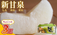 【先行予約】中野農園 梨 ”新甘泉” 3玉入り｜鳥取 岩美 梨 なし ナシ  赤梨 果物 フルーツ【41019】