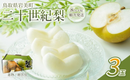 【先行予約】中野農園 梨 ”二十世紀梨” 3玉入り｜鳥取 岩美 梨 なし ナシ 20世紀梨 青梨 果物 フルーツ 常温 ※お届けは2026年8月下旬頃～【41024】