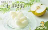 【先行予約】中野農園 梨 ”二十世紀梨” 3kg箱｜鳥取 岩美 梨 なし ナシ 20世紀梨 青梨 果物 フルーツ【41025】