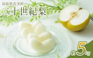 【先行予約】中野農園 梨 ”二十世紀梨” 5kg箱｜鳥取 岩美 梨 なし ナシ 20世紀梨 青梨 果物 フルーツ【41026】