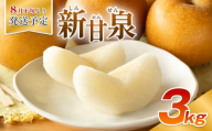[先行予約]安田農園 梨 "新甘泉" 3kg箱|鳥取 岩美 梨 なし ナシ 赤梨 果物 フルーツ ※お届けは2026年8月下旬頃〜[41030]