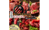 「熊本特産」フジチクオリジナル 特選馬刺しの8種セット(美里町)【1607930】