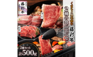 くまもと黒毛和牛「藤彩牛」2種の食べ比べセット計500g(美里町)【1608059】