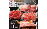 くまもと黒毛和牛「藤彩牛」厳選4種の贅沢セット(美里町)【1608132】