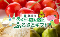 山形県東根市 あとからセレクト【ふるさとギフト】寄附5,000円相当　hi9999-002