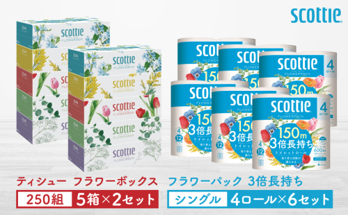 【スコッティ】ティシュー フラワーボックス 250組（5箱パック×2セット）＋フラワーパック 3倍長持ち（4ロール(シングル)パックx6セット）ティッシュ トイレットペーパー 日用品 2093573 - 熊本県八代市