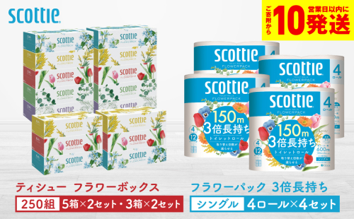 【スコッティ】ティシュー フラワーボックス 250組（5箱パック×2セット・3箱パック×2セット）＋フラワーパック 3倍長持ち（4ロール(シングル)パック×4セット）ティッシュ トイレットペーパー 日用品 2093574 - 熊本県八代市