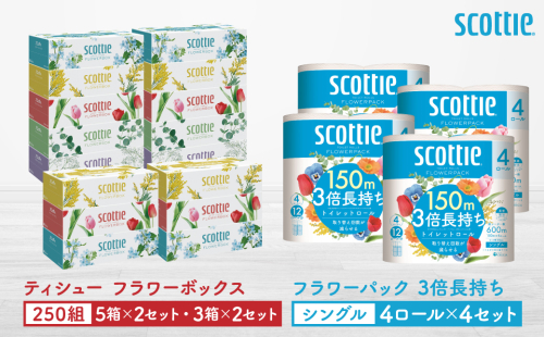 【スコッティ】ティシュー フラワーボックス 250組（5箱パック×2セット・3箱パック×2セット）＋フラワーパック 3倍長持ち（4ロール(シングル)パック×4セット）ティッシュ トイレットペーパー 日用品 2093574 - 熊本県八代市
