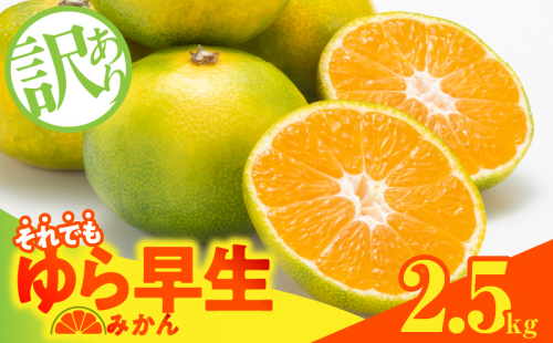 MK1069_【2025年先行予約】訳あり ゆら早生 みかん 箱込 2.5kg ( 内容量 2.3kg ) サイズミックス 有田みかん 和歌山県産 2094214 - 和歌山県湯浅町