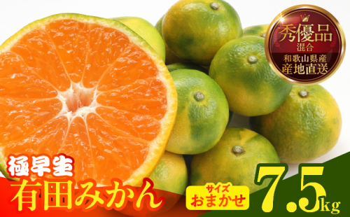 MK1071_【2025年先行予約】みかん 極早生 箱込 7.5kg ( 内容量6.8kg ) おまかせサイズ（S/M/L）秀品・優品 の混合 有田みかん 和歌山県産 2094228 - 和歌山県湯浅町