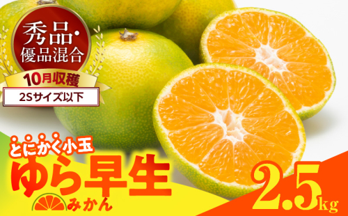 MK1061_【2025年先行予約】ゆら早生 みかん とにかく小玉 箱込 2.5kg ( 内容量2.3kg ) 2Sサイズ以下 秀優混合 有田みかん 和歌山県産 2094645 - 和歌山県湯浅町