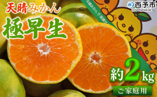 ＜天晴みかん 極早生 家庭用 約2kg＞ 温州ミカン 柑橘 果物 くだもの フルーツ 蜜柑 訳あり ワケアリ 自宅用 期間限定 季節限定 食べて応援 特産品 産地直送 愛媛県 西予市【常温】