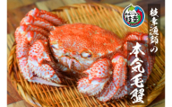 【朝獲れ毛蟹を即ボイル！枝幸漁師の本気毛蟹】特大毛ガニ(700g～900g)1尾入【 カニ 蟹 毛ガニ 毛がに 毛蟹 朝茹で 冷凍 北海道 オホーツク 枝幸 】