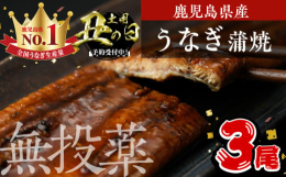 【丑の日まにでお届け】※7/9(水)までにご入金完了いただいた方が対象です※※7/19(土)までにお届けいたします※鰻は日本の食文化に定着し、滋養強壮に良いとされております。弊社では、無投薬にこだわり