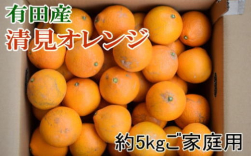 ★2026年2月中旬より発送★ ご家庭用 濃厚 有田産清見オレンジ約5kg サイズおまかせ または混合 2095427 - 和歌山県有田川町