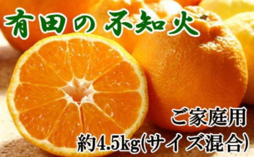 ★2026年2月中旬より発送★ ご家庭用 濃厚 有田の不知火 約4.5kg サイズ混合 2095428 - 和歌山県有田川町