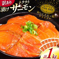訳あり サーモン トラウト 漬け 総重量 1kg 100g×10p [カネダイ 宮城県 気仙沼市 20565453] 魚 魚介類 刺身 小分け 冷凍 鮭 さけ 海鮮 生食用 真空パック さけ サケ 食品 生食 サーモン 漬け丼 手巻き寿司 丼 海鮮丼 個包装