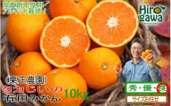 タカじいの 有田 みかん 10kg （良品 サイズ混合 or 大玉） / 温州みかん 有田みかん 甘い 家庭用 和歌山 柑橘 ※12月順次発送【krs004-c-10-12A】