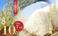 令和7年度産 新米きぬむすめ 白米10kg 先行予約 ＜ 2025年9月中旬より順次発送予定 ＞ ｜ 精米 新米 白米 米 雑穀 お米 コメ 単一米 きぬむすめ 絹娘  山口 美祢 秋吉台 10kg
