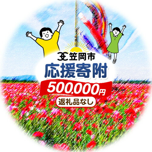 岡山県 笠岡市 応援寄附 1口 500000円【返礼品なし】 2096105 - 岡山県笠岡市
