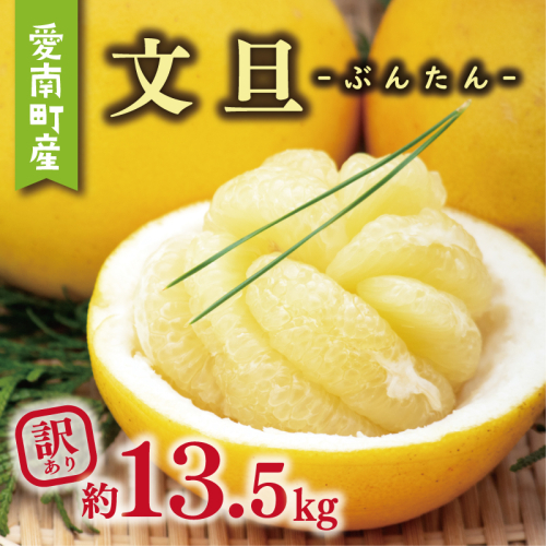 訳あり 文旦 13.5kg 10000円 ぶんたん みかん mikan 蜜柑 ミカン わけあり 家庭用 産地直送 国産 農家直送 糖度 期間限定 数量限定 特産品 ゼリー ジュース アイス 人気 限定 甘い 果実 果肉 フルーツ 果物 柑橘 ビタミン 健康 美味しい おいしい ジューシー 小玉 含む サイズ ミックス 規格外 傷み補償 500g ミッチーのおみかん畑 愛南町 愛媛県 2096107 - 愛媛県愛南町