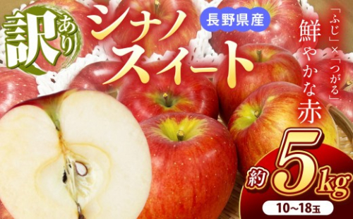 【2026年先行予約】 南信州産 シナノスイート 訳あり 約5kg 10～18玉 ＪＡみなみ信州ＤＭセンター飯田市 | シナノスイート 林檎 りんご アップル 果物 フルーツ 南信州 送料無料 ふるさと納税 長野県 飯田市