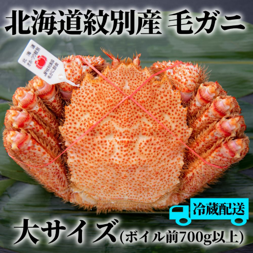 41-9 【期間・数量限定】浜茹で紋別産毛がに（加熱済・チルド冷蔵配送）紋別漁協認証タグ付き大サイズ 2096183 - 北海道紋別市