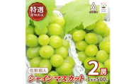 特選!シャインマスカット2房化粧箱入　山梨市産地直送　約500g×2房【1178158】