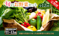 【定期便 全12回】＜畑から直送＞季節のお野菜セット XLサイズ11～13品をお届け♪ 12回 定期便 野菜 新鮮 野菜セット 定期便 農家直送 産地直送 野菜 厳選 こだわり 朝採れ 採れたて フレッシュ サラダ 高原野菜 フルーツ 甘い 野菜 詰め合わせ おまかせ 大地の恵み 贈り物 ギフト 便利 食卓 野菜 家族 主婦 料理 お弁当 人気 おすすめ お取り寄せ 野菜 熊本県 阿蘇市