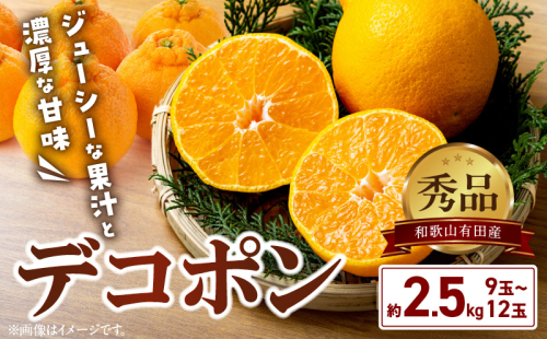 BD7008_【2026年先行予約】和歌山有田産 デコポン秀品のみ！ 2.5kg（9～12玉） 2097047 - 和歌山県湯浅町