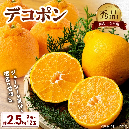 BD7008_和歌山有田産 デコポン秀品のみ！ 2.5kg（9～12玉） 2097047 - 和歌山県湯浅町