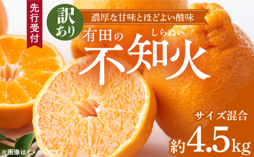 ZD92070_【2026年先行予約】【濃厚】有田の不知火 (デコポン) 【訳あり 家庭用】 4.5kg (サイズ混合) 2097321 - 和歌山県湯浅町