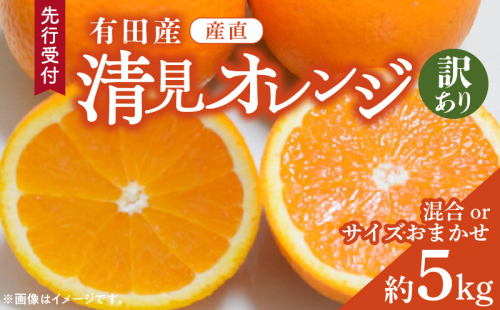 ZD92071_【2026年先行予約】【産直】有田産清見オレンジ 約5kg（訳あり家庭用サイズおまかせまたは混合） 2097322 - 和歌山県湯浅町
