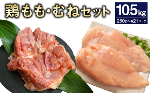 <鶏もも・むねセット 各250g×21パック 計10.5kg>翌月末迄に順次出荷 鶏肉 お肉 モモ肉 ムネ肉 小分けパック 冷凍 2097354 - 宮崎県高鍋町
