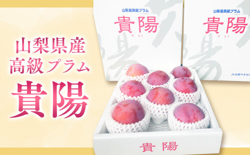 すももにはクエン酸などが多く含まれていますので、疲労回復に効果があります
【先行予約2025年/令和7年発送分】貴陽 すもも 6～9個入り 山梨県産 スモモ もも モモ 高級 フルーツ くだもの 果物 おすすめ 人気 山梨県 甲斐市 AV-6 2097592 - 山梨県甲斐市