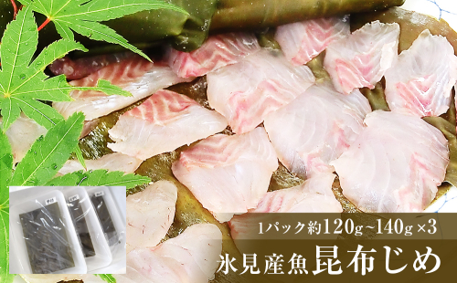 氷見産魚昆布じめ 富山県 氷見市 昆布締 刺身 2097743 - 富山県氷見市