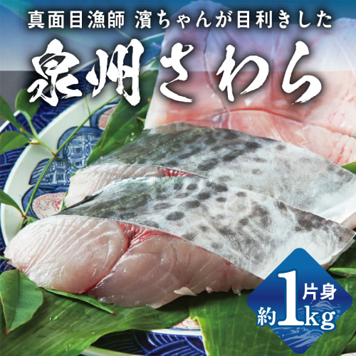 さわら 片身 1kg【漁師 目利き 海鮮 鰆 泉州 新鮮 産地直送 急速冷凍】 G2188-2 2097763 - 大阪府泉佐野市