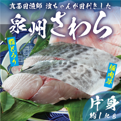 泉州さわら 片身 約1kg 099H3541 2097763 - 大阪府泉佐野市