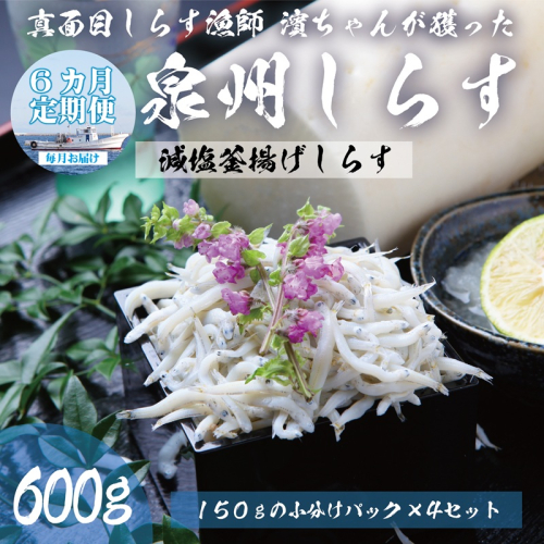 【定期便】泉州しらす （減塩釜揚げ）600g ×全6回 真面目漁師 濱ちゃんのこだわり 099Z310 2097764 - 大阪府泉佐野市