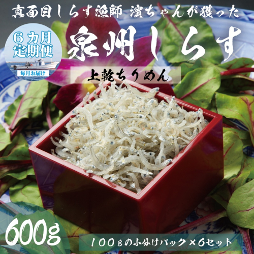 【定期便】泉州しらす （上乾ちりめん）600g×全6回 真面目漁師 濱ちゃんのこだわり 099Z311 2097765 - 大阪府泉佐野市
