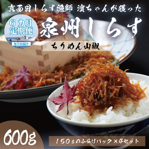 【定期便】泉州しらす （ちりめん山椒）600g×全6回 真面目漁師 濱ちゃんのこだわり 099Z312 2097766 - 大阪府泉佐野市