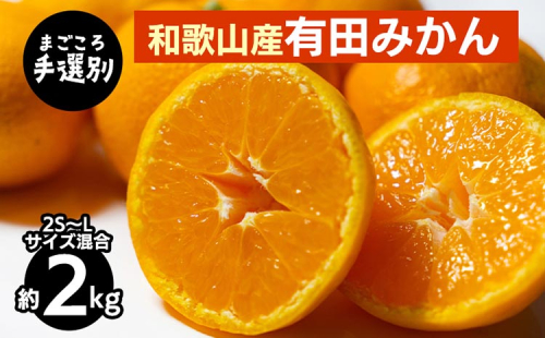 【まごころ手選別】和歌山産 有田みかん 2kg 1箱 (2S～Lサイズ混合) ※2025年11月上旬～2026年1月下旬頃に順次発送予定 2097927 - 和歌山県美浜町