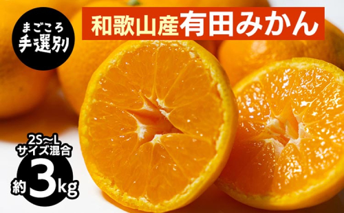 【まごころ手選別】和歌山産 有田みかん 3kg 1箱 (2S～Lサイズ混合) ※2025年11月上旬～2026年1月下旬頃に順次発送予定 2097928 - 和歌山県美浜町