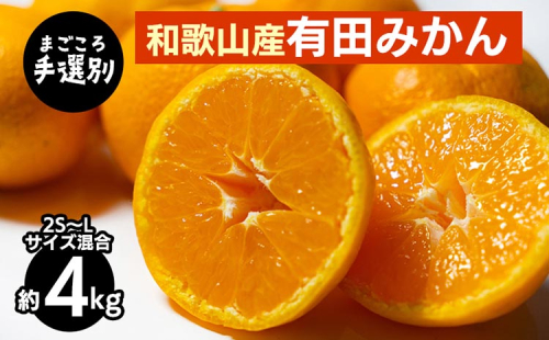 【まごころ手選別】和歌山産 有田みかん 4kg (2S～Lサイズ混合) ※2025年11月上旬～2026年1月下旬頃に順次発送予定 2097929 - 和歌山県美浜町