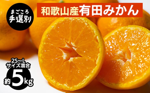 【まごころ手選別】和歌山産 有田みかん 5kg (2S～Lサイズ混合) ※2025年11月上旬～2026年1月下旬頃に順次発送予定 2097930 - 和歌山県美浜町
