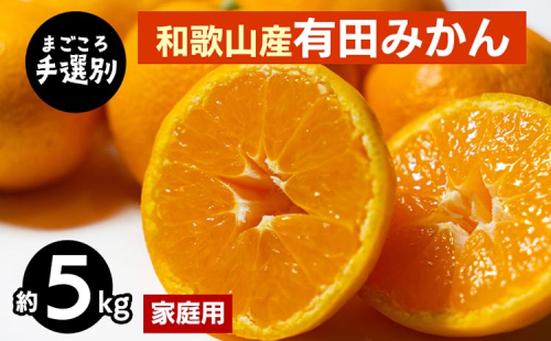 【まごころ手選別】和歌山産 有田みかん 5kg 家庭用 ※2025年11月上旬～2026年1月下旬頃に順次発送予定 2097932 - 和歌山県美浜町